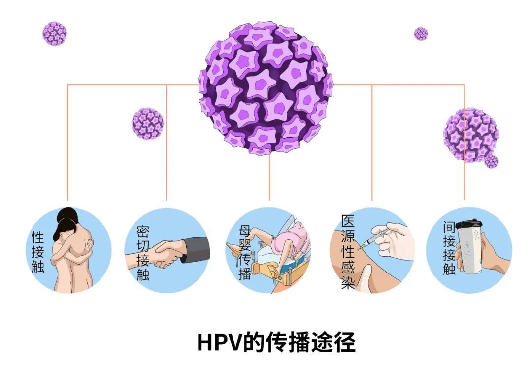 治疗hpv补硒有用吗