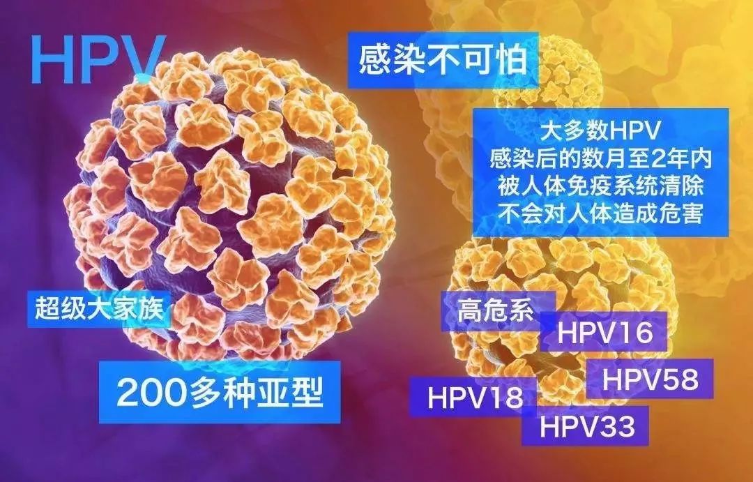 治疗hpv补硒有用吗