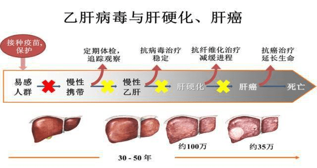 补硒能增加乙肝抗体吗