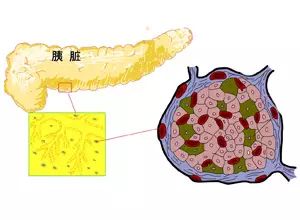 需要补硒的疾病有哪些