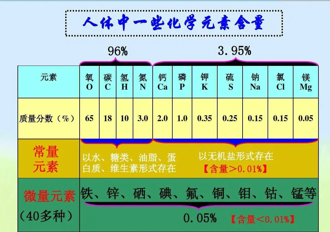 硒的补充量补多少超量