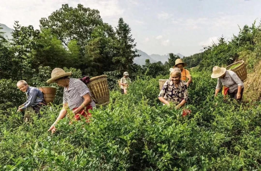 女人补硒吃什么药好呢