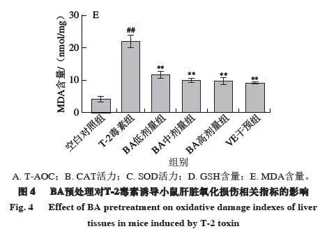 补硒对肝病有什么作用