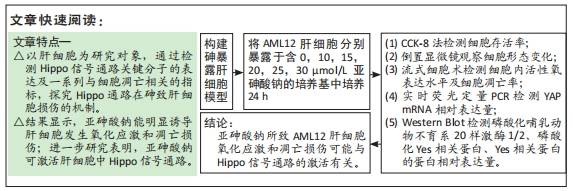 补硒对肝病有什么作用