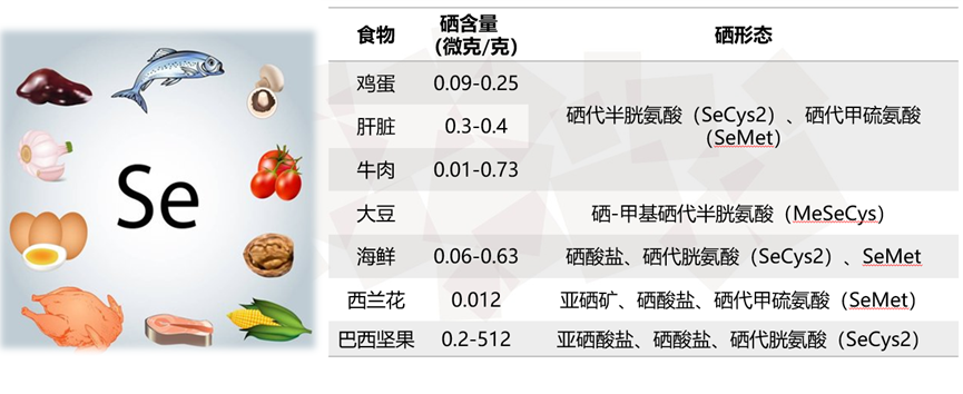 10岁每天补硒多少量