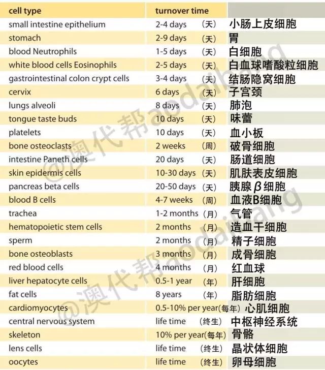 补硒的调理反应多久好