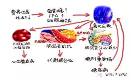 天天补硒能否治脑血栓