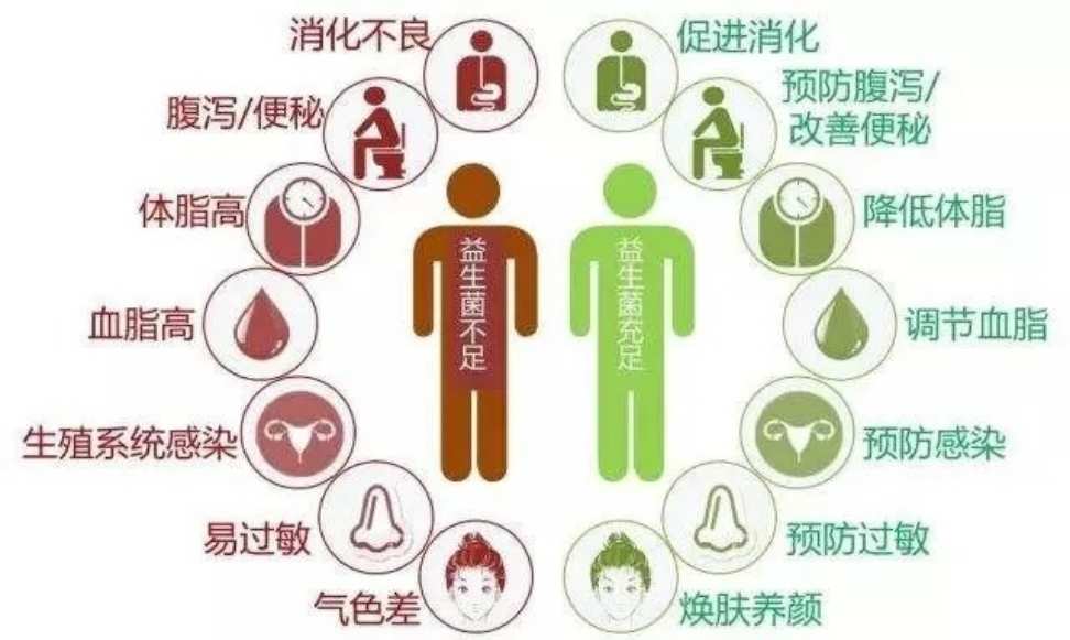 肠胃不好补硒后的变化