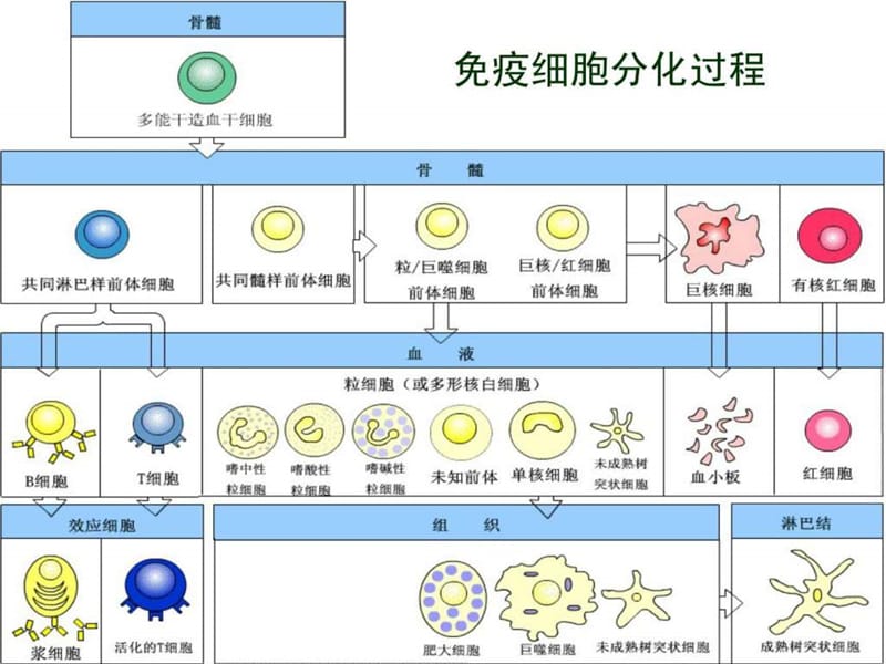 肠癌手术前需要补硒吗