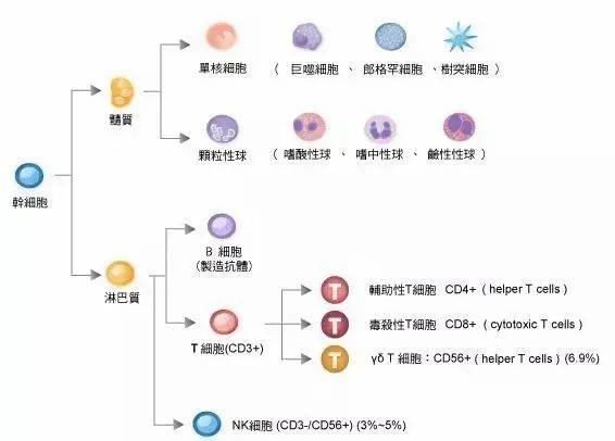 肠癌手术前需要补硒吗