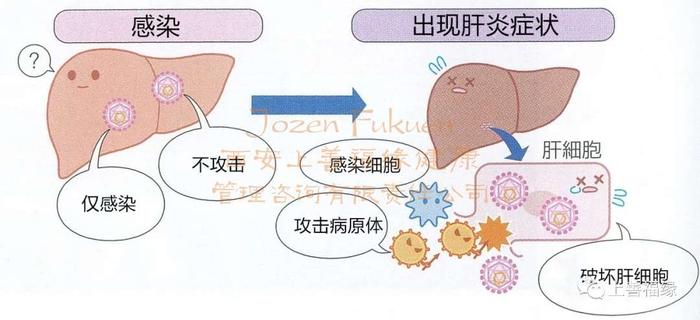 亚健康补硒症状是什么