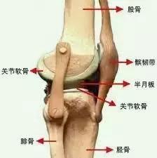 全面详细介绍骨关节疾病的症状、病因、治疗等情况，看这篇就够了