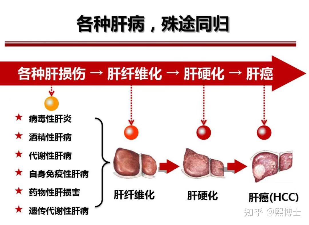 肝炎用什么补硒好点呢