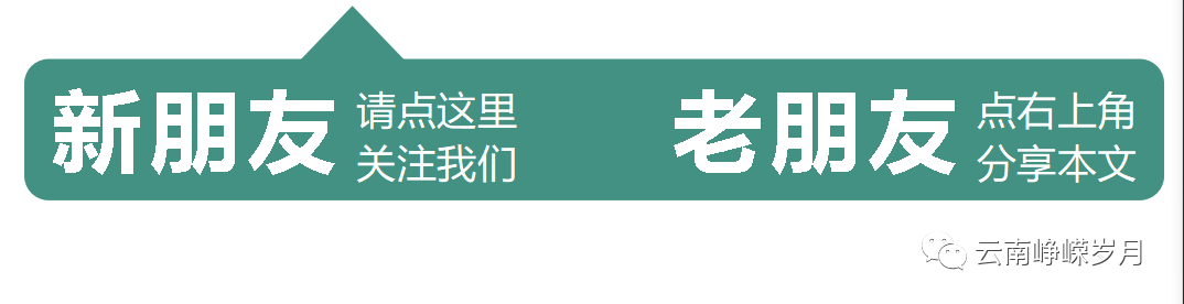 补锌和补硒用什么方法