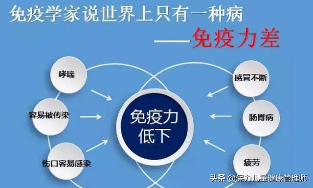 补硒选这7类平价食物，带你去世界硒都揭开硒的“神秘面纱”