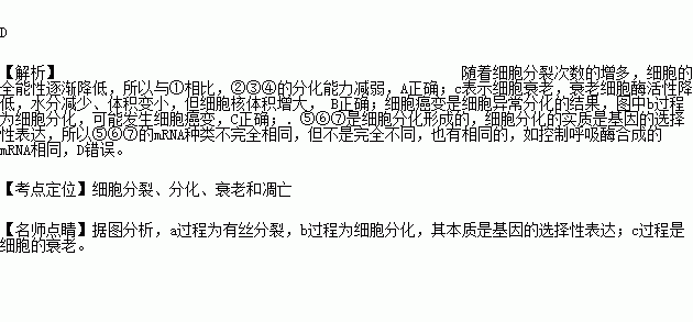 小孩补硒促进生长激素