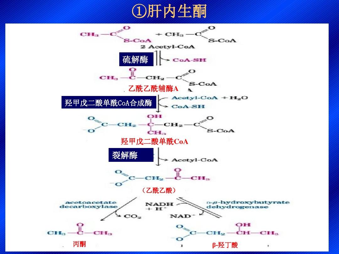 青少年需要补硒蛋白吗