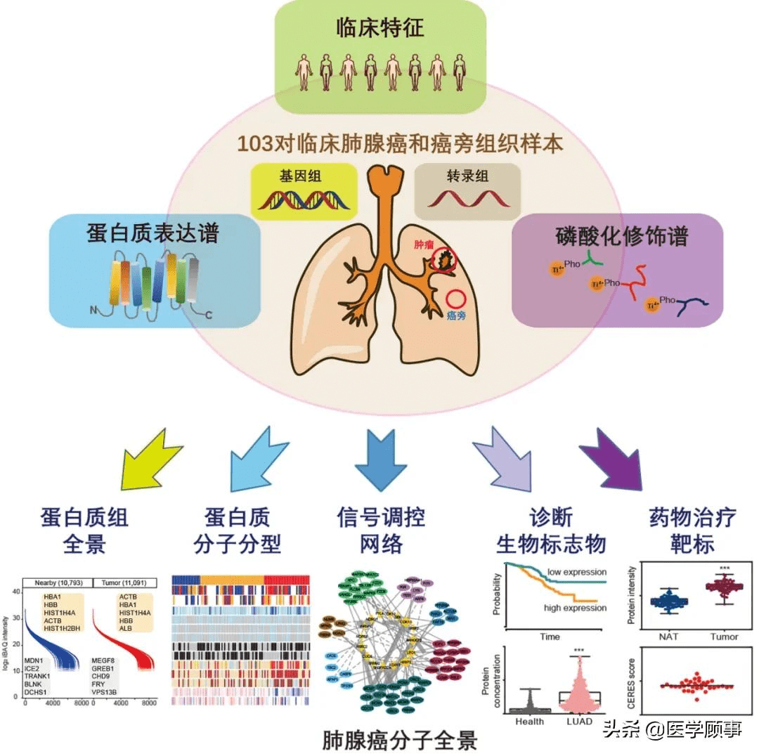 肺癌患者为什么要补硒