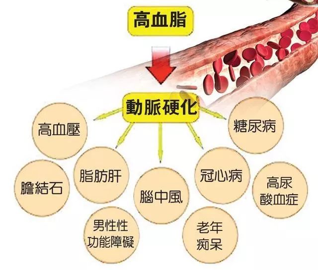 补硒会引起血脂升高吗