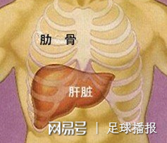 肝病患者补硒多久停止