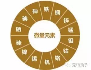 狗狗补硒过量会怎么样