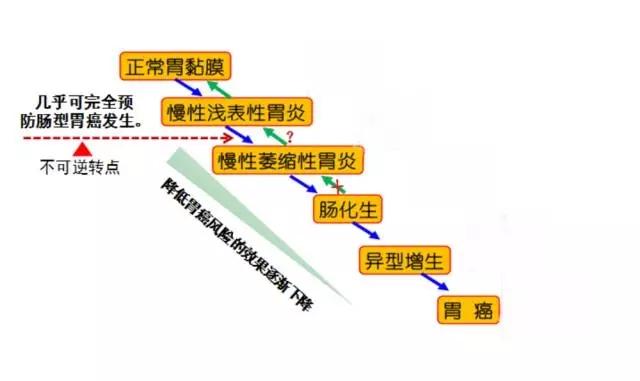 胃溃疡、胃癌元凶是幽门螺旋杆菌，一招可根除杆菌，非常简单