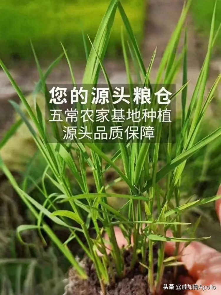 富硒什么意思