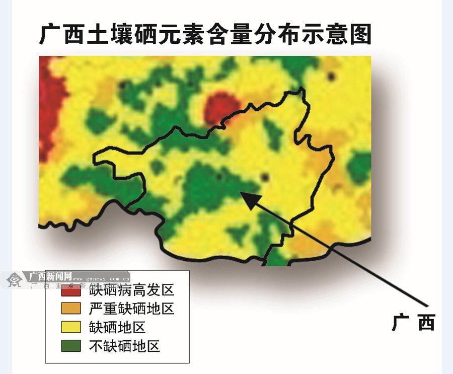 富硒产品开发