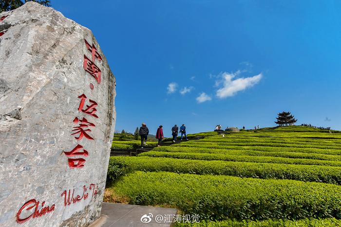 富硒贡茶价格