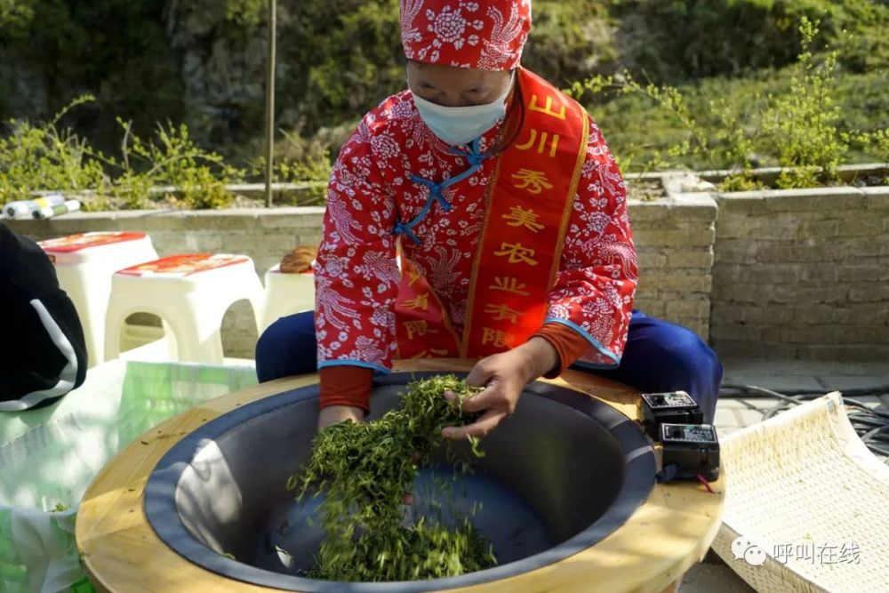 仙寓富硒野茶