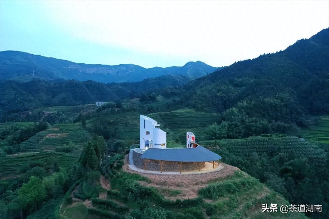 仙寓富硒野茶