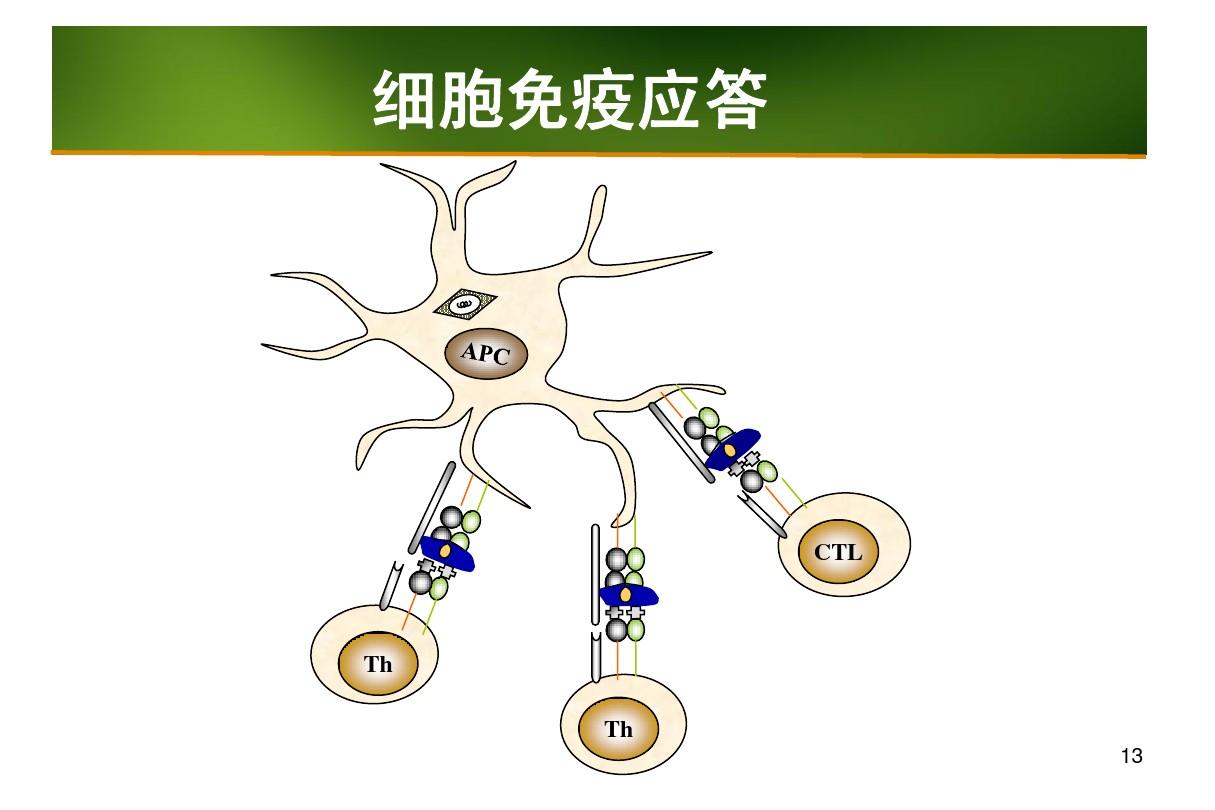 好hpv补硒