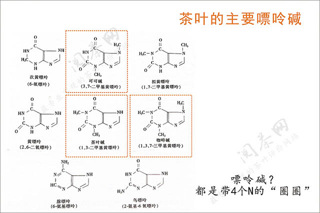 喝什么茶补硒