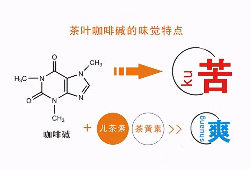 喝什么茶补硒