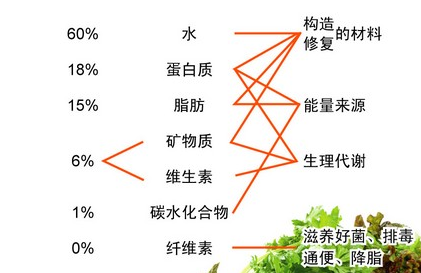 补铁补镁补硒