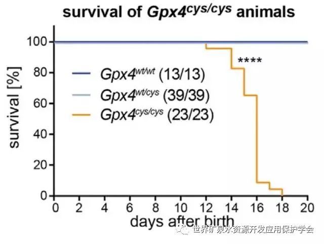 补锌补硒骗局