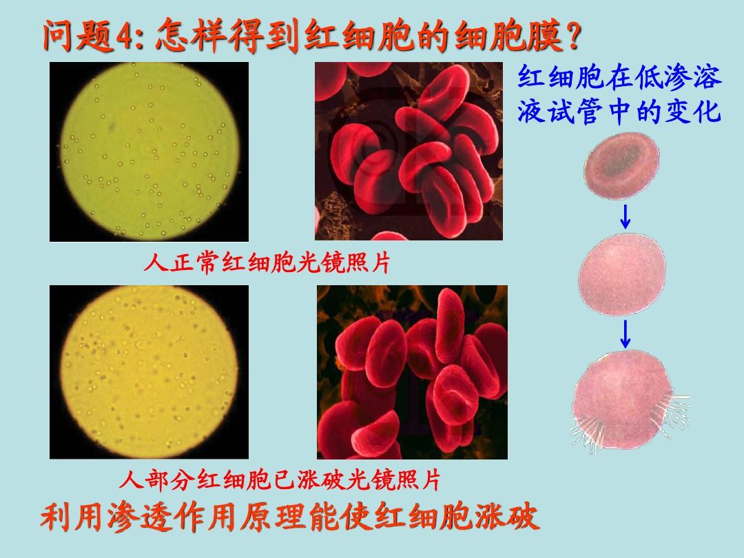 健康女性补硒