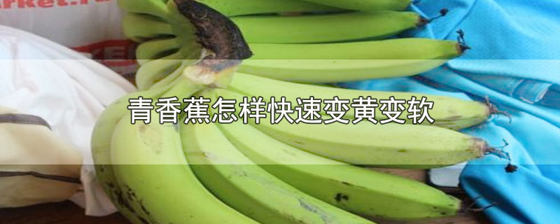 果树如何补硒