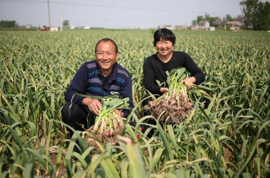 硒元素如何补