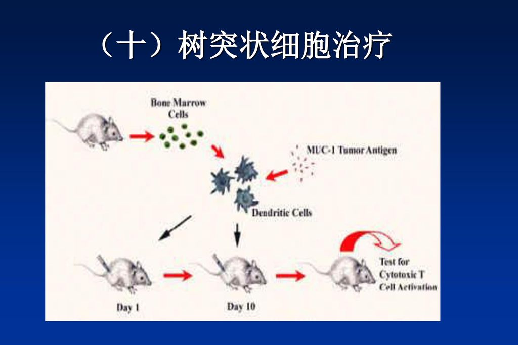 癌症补硒骗局