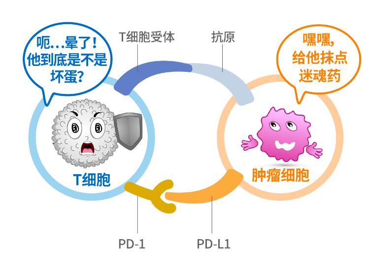 癌症补硒骗局