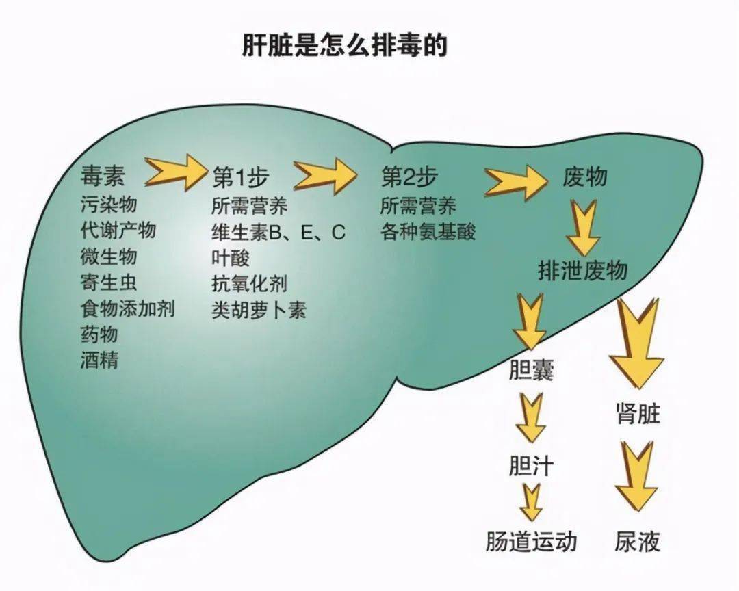 女性补锌补硒