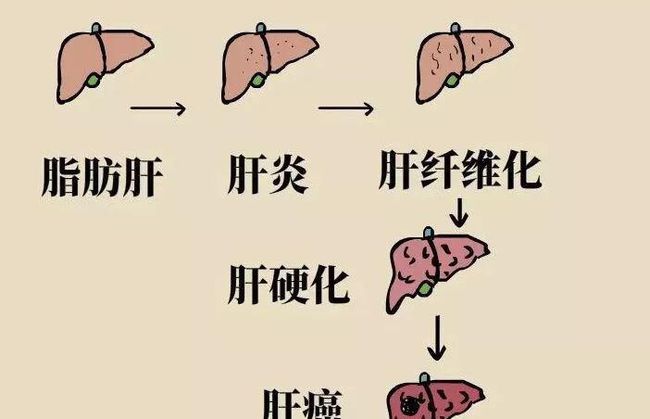 补硒抑制病毒