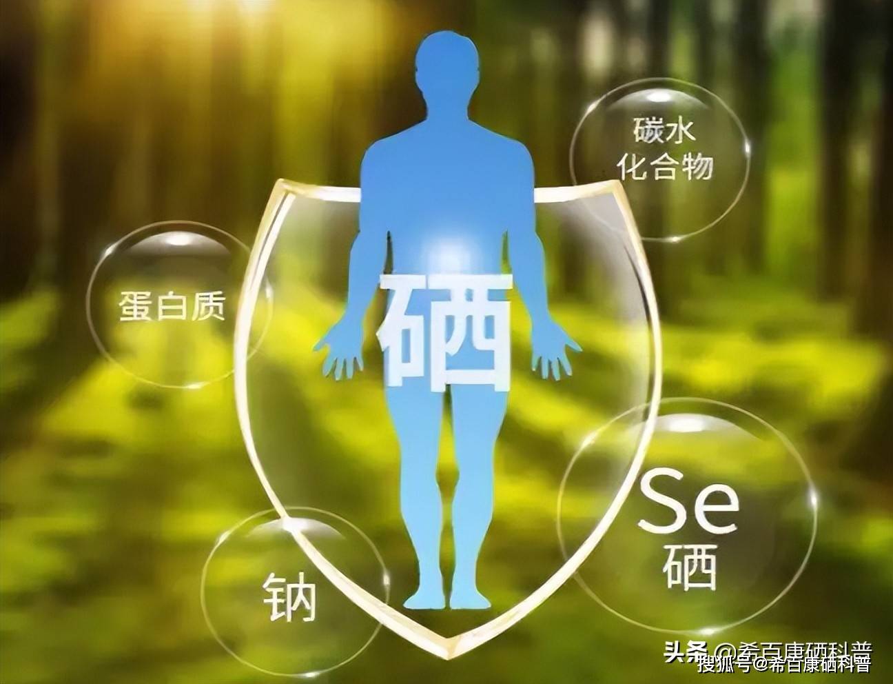 科学补硒优选