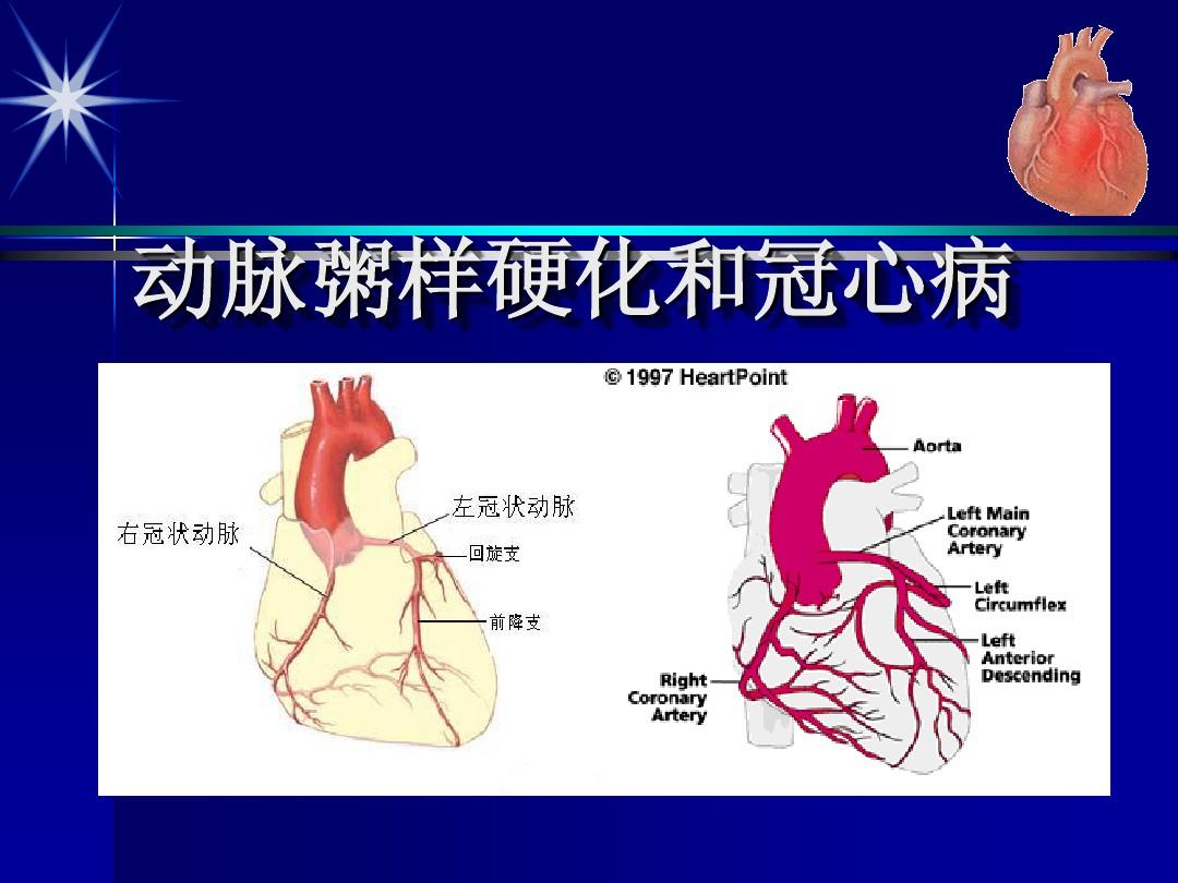 内膜息肉补硒