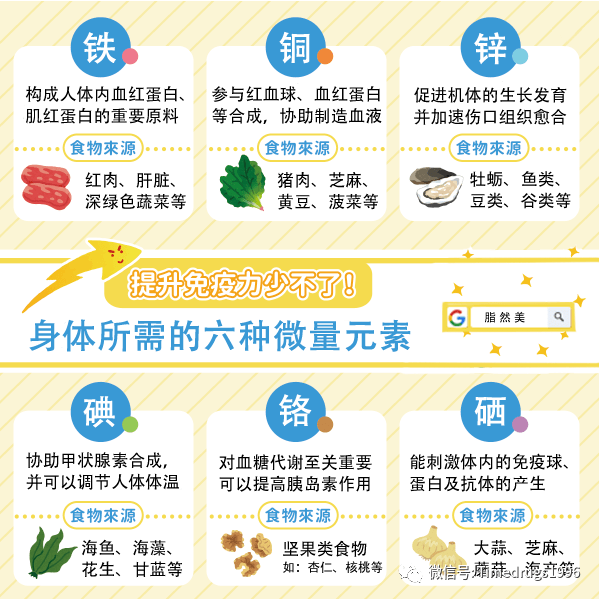 婴儿何时补硒