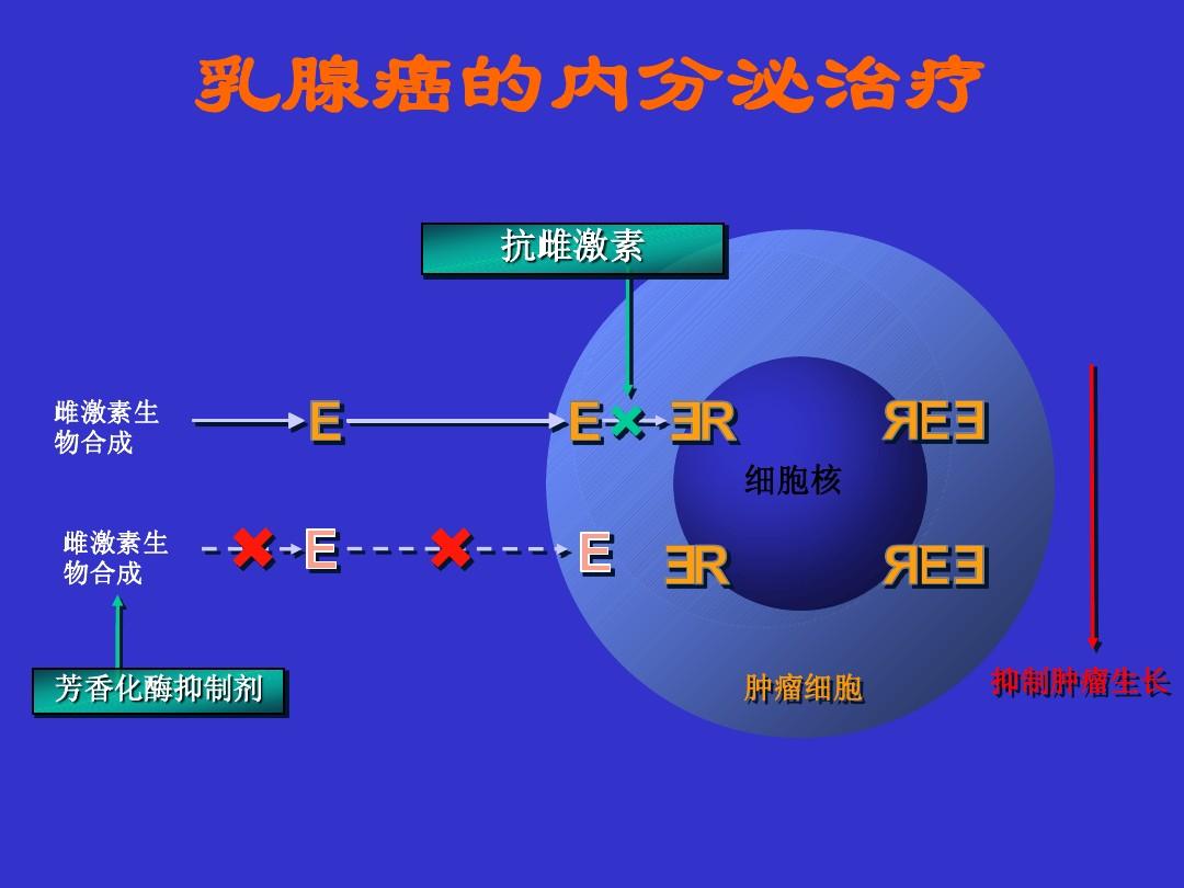 活检病变补硒