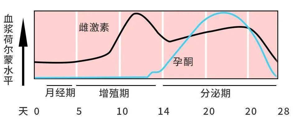 活检病变补硒