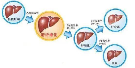 补硒姨妈推迟