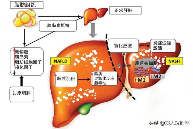 熬夜的人补硒